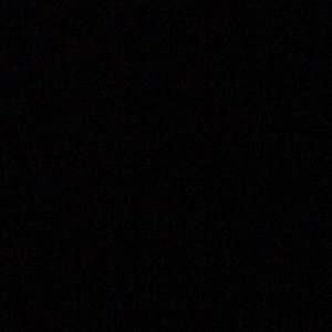 Meet your Posher, Traelyn